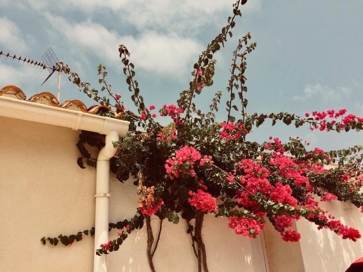 Lovely Apartment Old Town 德尼亚 外观 照片